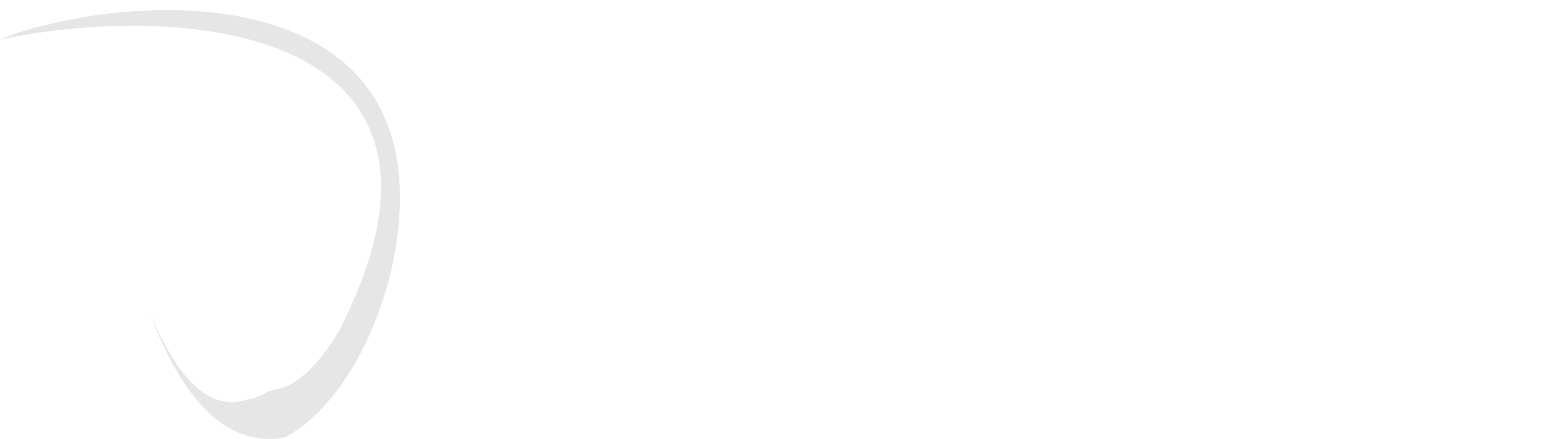 Logo PNG 2